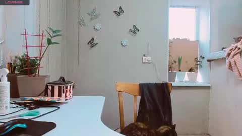 rosa843850 online show from 02.02.25