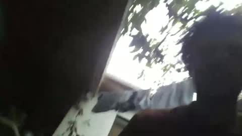 roseandjamesworld online show from 03.22.26