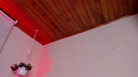 Lyla OF roselinedior online show from 01.20.25