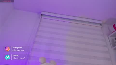   online show from 01.24.25