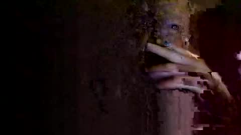 Snapshot of rotorranch chatting on 10.02.25 rotorranch online show from 10.02.25