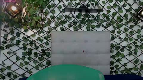 Rous online show from 02.08.25