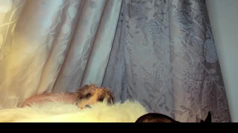 Rosita online show from 02.26.26