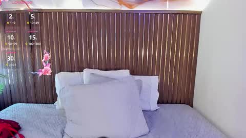 Snapshot of roxie_ns chatting on 02.12.26 Roxie online show from 02.12.26