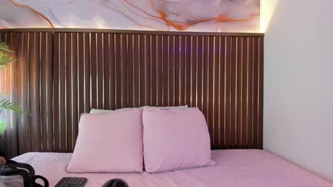 Snapshot of roxie_ns chatting on 02.20.26 Roxie online show from 02.20.26