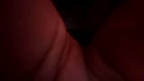 Royal SF online show from 12.15.24