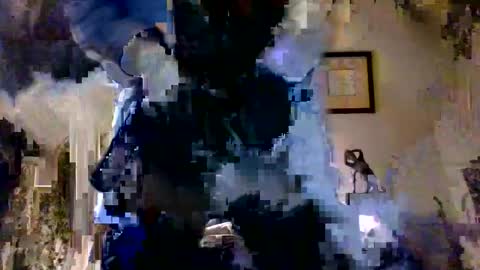 Roy Murrin online show from 10.12.25