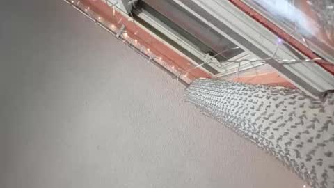 rraineonme online show from 01.12.26