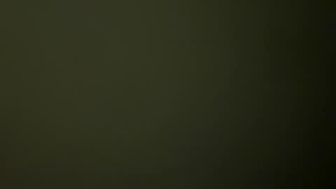 Snapshot of rsxxx130 chatting on 02.19.25 ireneTxCD online show from 02.19.25