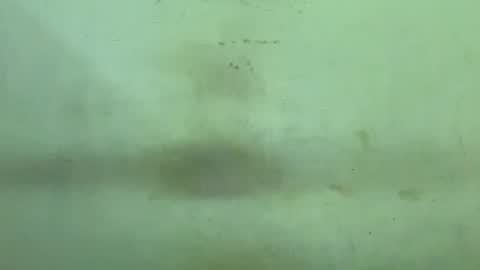 Rupali online show from 12.21.25