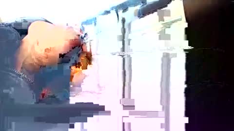 Snapshot of rushover63 chatting on 03.03.25 rushover63 online show from 03.03.25