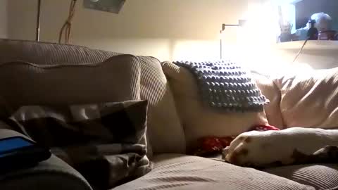 Rusty online show from 10.02.25