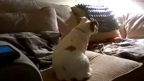 Rusty online show from 10.18.25