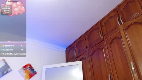 Snapshot of ryanastone_ chatting on 01.18.25 Hanna online show from 01.18.25