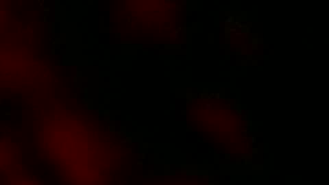 Ryan Star online show from 01.18.25