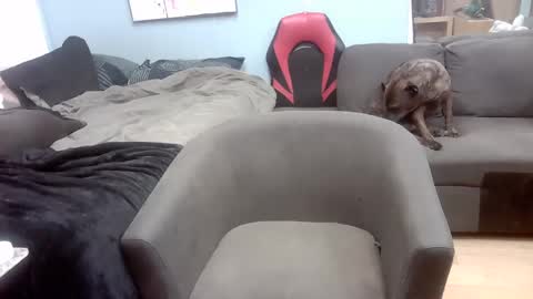 Ryan Tee online show from 11.01.25