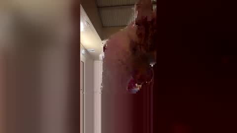 ryder868 online show from 04.17.26