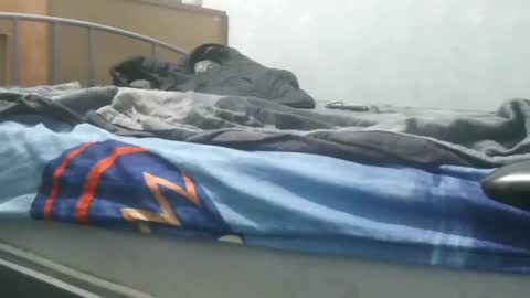 arte online show from 01.30.25