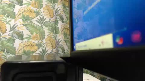 s_o_f_e_a online show from 01.12.26