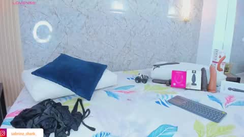 Snapshot of sabrina_shark chatting on 11.22.25 Sabrina Shark online show from 11.22.25