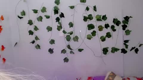 SABRI online show from 01.26.25