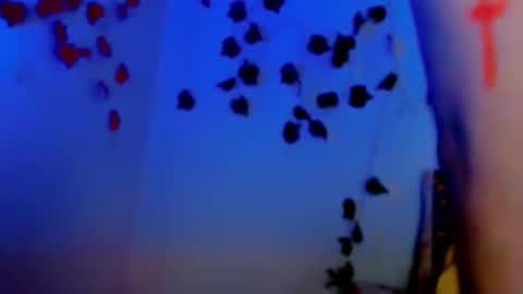 SABRI online show from 03.11.25