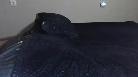 pluto online show from 02.17.25