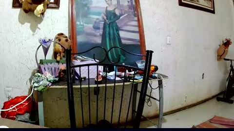 ruby  chocoholic cakeholic coffeeholic cookieholic online show from 10.02.25