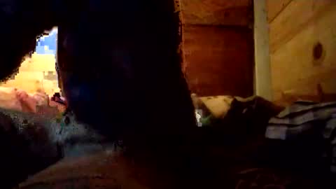 Penoso online show from 12.14.25