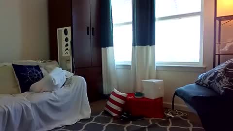 salis1981 online show from 02.05.25