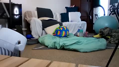 salis1981 online show from 02.19.25