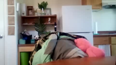 salis1981 online show from 10.16.25