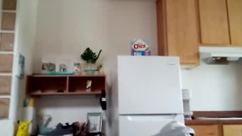 salis1981 online show from 02.09.26