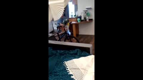 salis1981 online show from 04.02.26