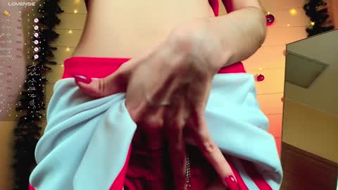 Snapshot of sallybiscuit chatting on 12.13.24 Sally online show from 12.13.24