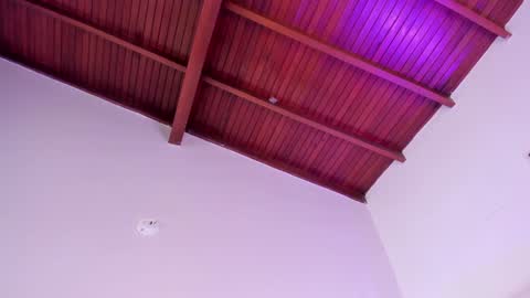 Salome online show from 02.01.25