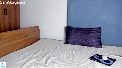 Snapshot of samgorgeous chatting on 12.03.24 Fansly - Top4fans online show from 12.03.24