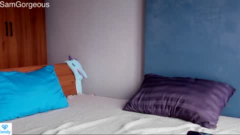 Snapshot of samgorgeous chatting on 12.28.24 Fansly - Top4fans online show from 12.28.24