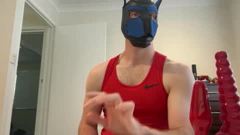 Sam online show from 03.11.25