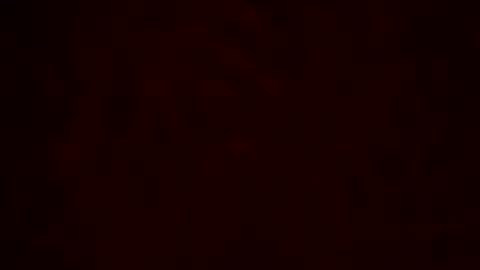 samueltal online show from 02.10.26