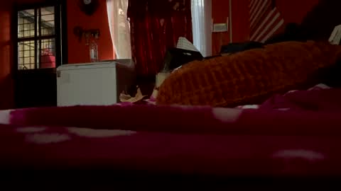 sans_976802 online show from 02.21.25