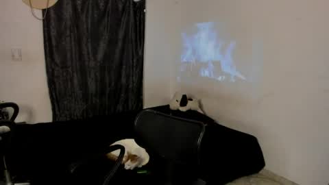 Snapshot of santiceballo chatting on 05.19.26 Julius Novachrono online show from 05.19.26