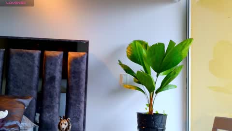 Snapshot of santin_seans chatting on 02.12.26 Santiago Seans online show from 02.12.26