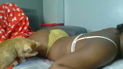 sapgaal online show from 01.07.26