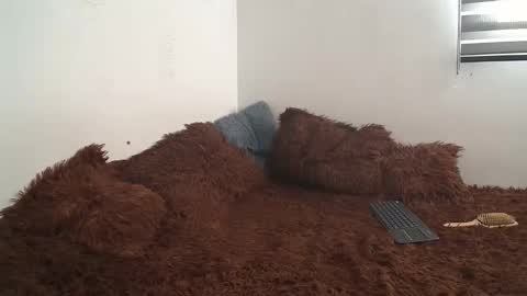 sara and thomas online show from 01.10.25