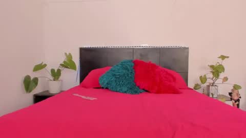 Girl next door online show from 01.16.25