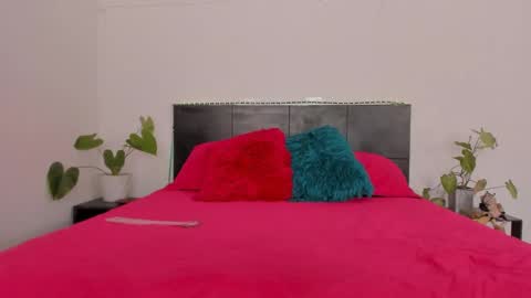 Girl next door online show from 01.20.25