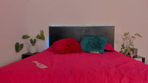 Girl next door online show from 01.21.25