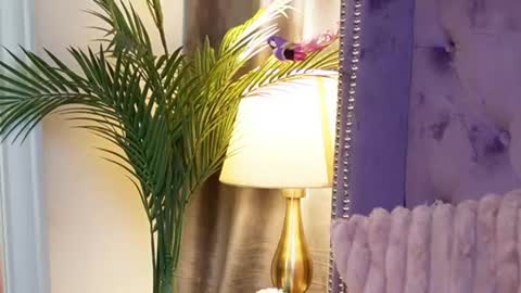 Snapshot of saraiangel chatting on 07.14.26 Sarai online show from 07.14.26