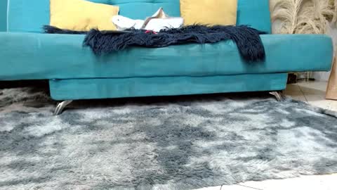 Snapshot of sarita_klein chatting on 03.02.26 sarita_klein online show from 03.02.26